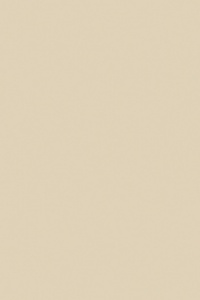 ЛДСП  3500*1750*16мм  Бежевый шагрень 7918