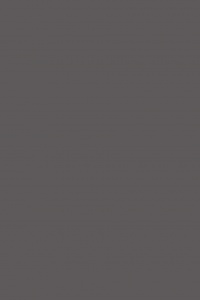 ЛДСП Серый Графит 0162 РЕ 2800*2070*16