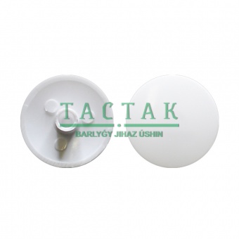 2602834_zaglushka-pod-ekstsentrik--1